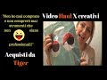 Video Haul (acquisti da Tiger)-compro solo materiale creativo per professionisti!