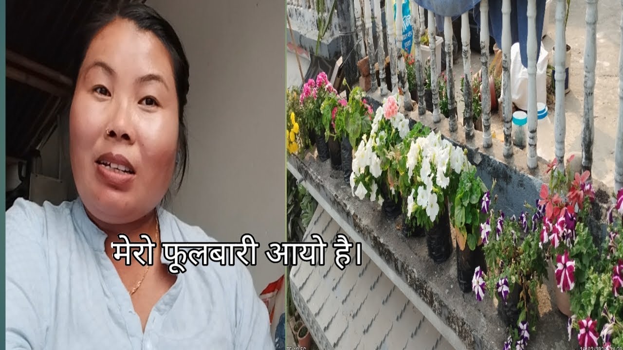 आजको मेरो फुलबारी हेरम है त 🤗🤗🤗