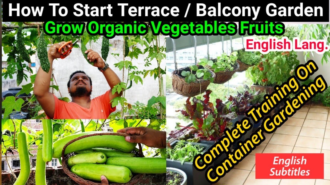 How To Start Terrace Garden Complete Training On Container Gardening All In One Video English Youtube