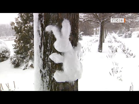 Что можно слепить из снега