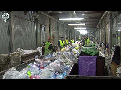 Как за годы "зелёной" повестки изменилось отношение новосибирцев к сортировке мусора?