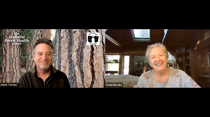 Live Like a Mountain: An Interview with Cindy Brooks