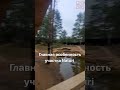 Главная особенность участка Naturi #Shorts