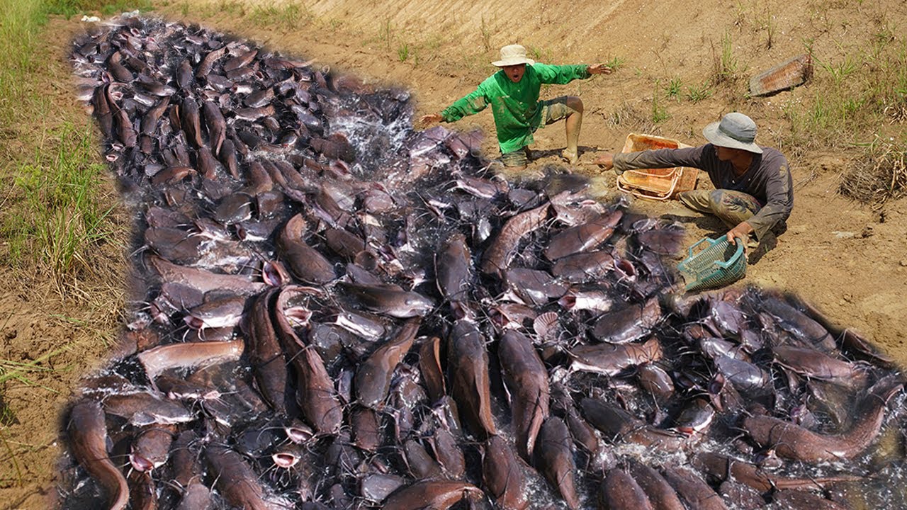 How to Successfully Fish in Irrigation Canals