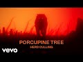 Porcupine tree  herd culling official