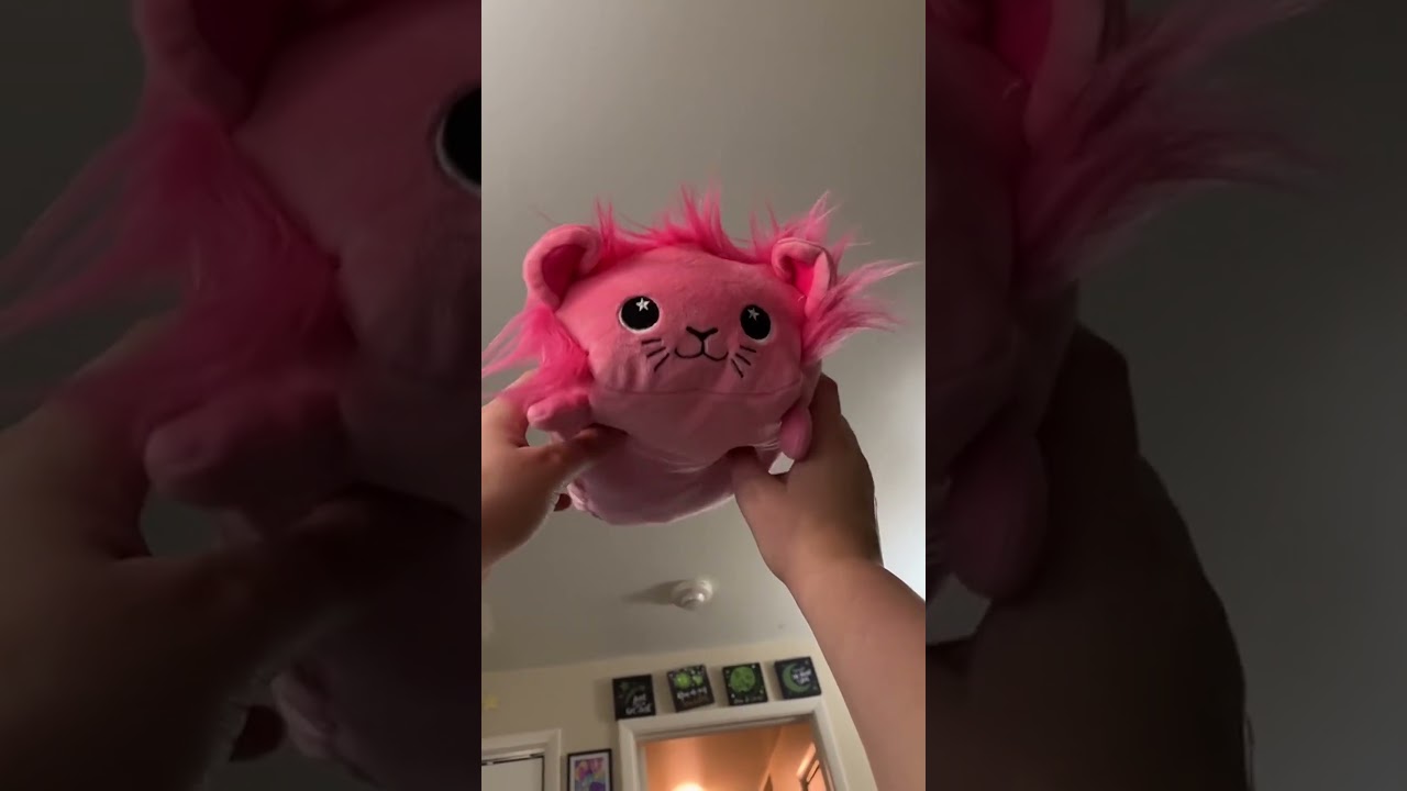 Pink Plush Cat Toy