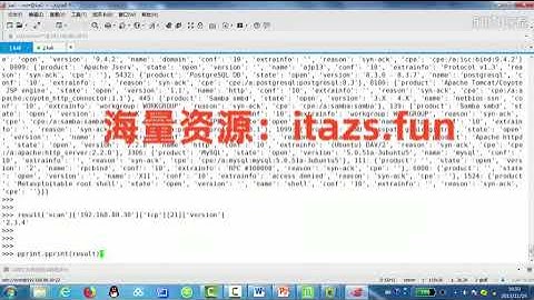Python 黑客编程：信息收集实战课 | 掌握网络侦查核心技能