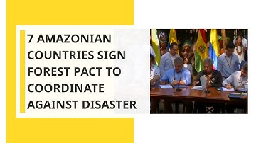 7 Amazonian countries sign forest pact on forest protection, to coordinate against disaster