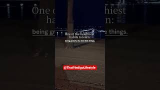 Daily Inspiration #66 l Mindfulness Mindset 2025
