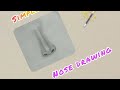 Easy nose drawing pencil  drawing simple dream world