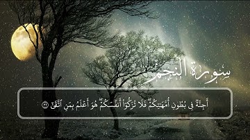 السورة: النجم { كاملة } القارئ: أبو بكر الشاطري