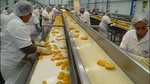 #Raynbow machine for halved peaches sorting | RAYTEC VISION SpA