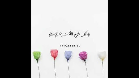 تلاوة جميلة للشيخ ماهر المعيقلي ( القرآن الكريم )