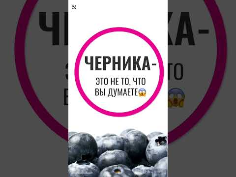 Неизвестные факты о чернике: правда и мифы, о которых стоит знать