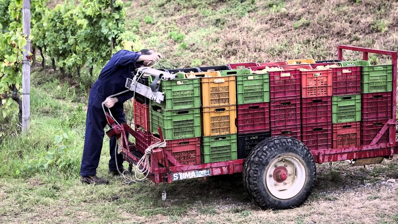 Tenuta del Buonamico, Whole, ENG