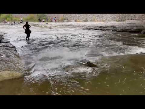 Salmon Run Ganaraska River Port Hope September 11, 2022