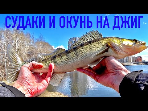 How to find and catch walleye on spinning! Catching walleye on a jig! Fishing for walleye