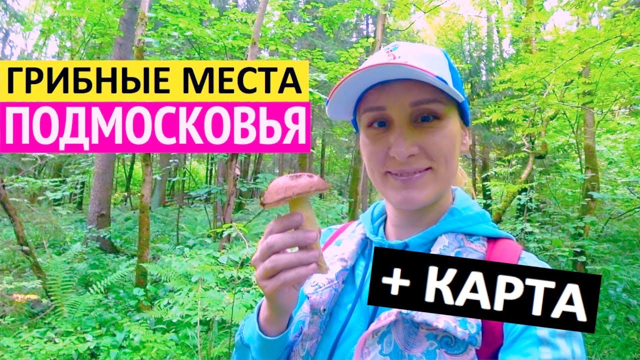 Рассекречиваю грибные места Подмосковья! Смотрите, какие грибы и ягоды собрали в Московской области