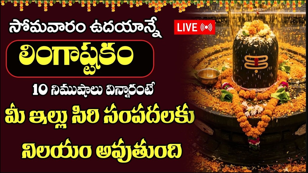 LIVE  : సోమవారం ఉదయాన్నే  లింగాష్టకం 10 నిమిషాలు విన్నారంటే మీ ఇల్లు సిరి సంపదలకు నిలయం అవుతుంది