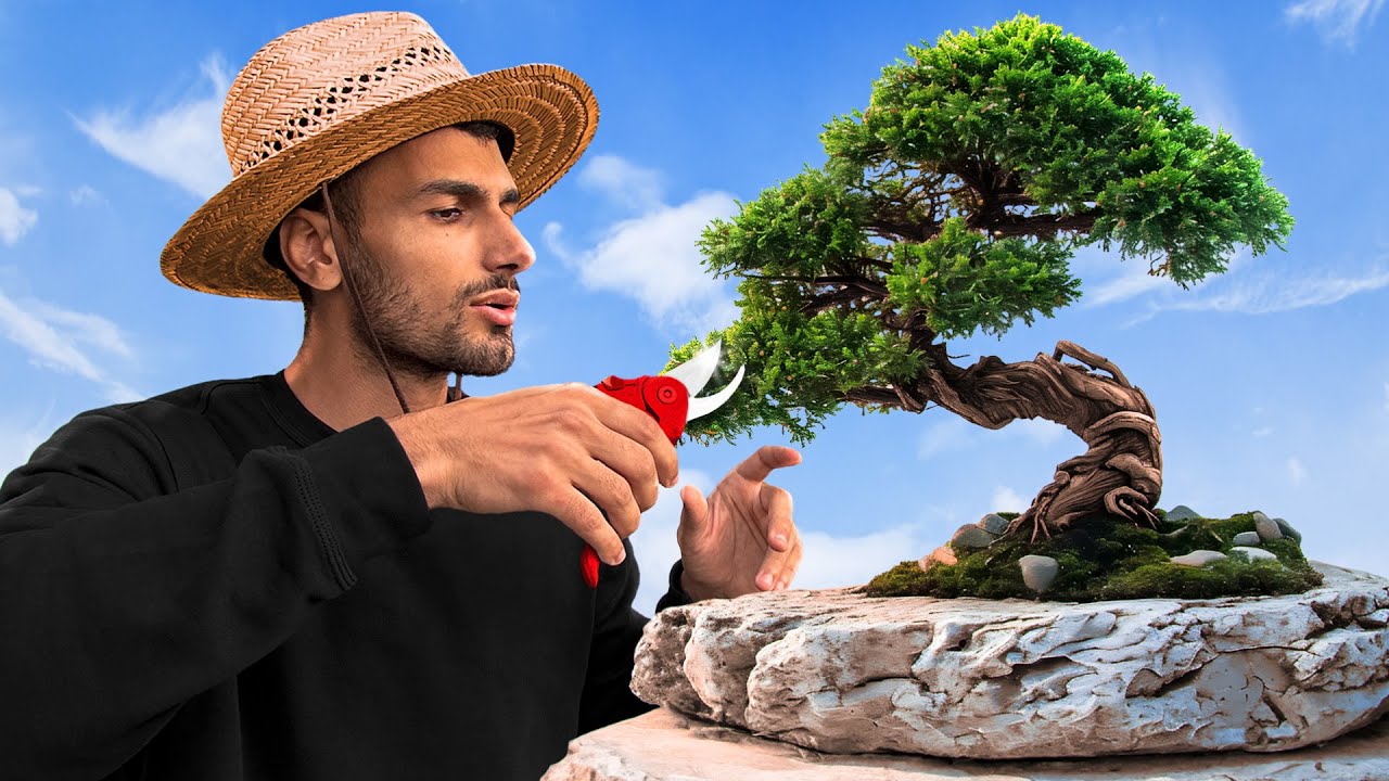 Mon bonsaï 1 an après