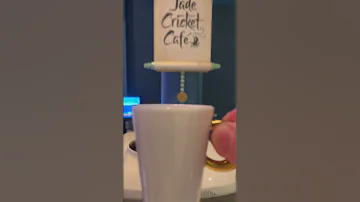 Sip Your Favorite Espresso Drink Slowly At Jade Cricket Café Aboard The Disney Treasure DisneyParks 