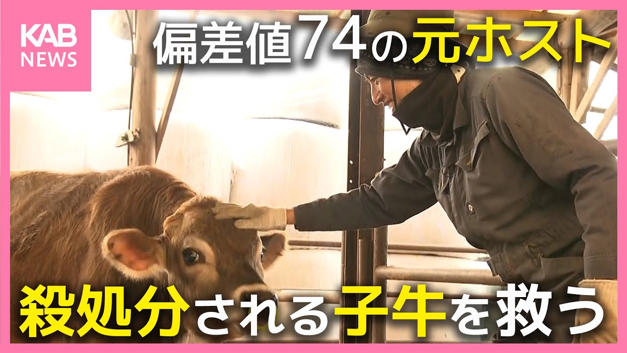ぎゅう？〜断捨離中〜様　　ウルージ ウルージ - Search / X