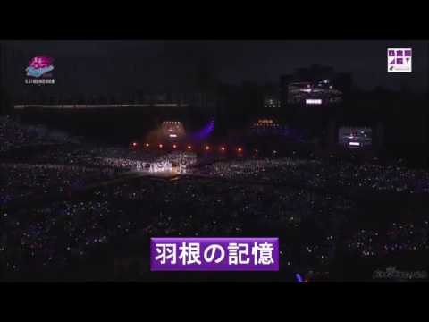 乃木坂46 真夏の全国ツアー2015 羽根の記憶