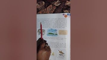 Class-3 Science Chapter-1 (Things around Us) Part-3  By:- Sumitra miss