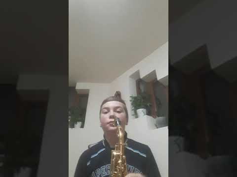 Tarina viteza 90