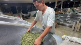 Pu Erh Tea Kill Green Sha Qing