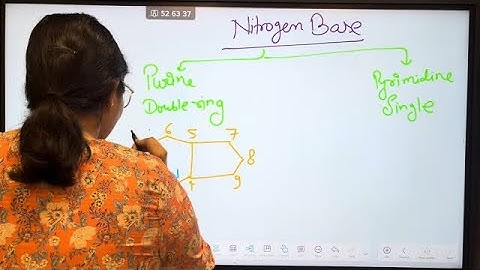 @thegenes-rk Types of bonds and interactions in DNA 