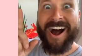 Funny Tiktok Wikihow Compilation 2020