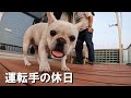 【長距離運転手の休日】家に帰っても何もすることがない。仕事やってたほうが楽だな。