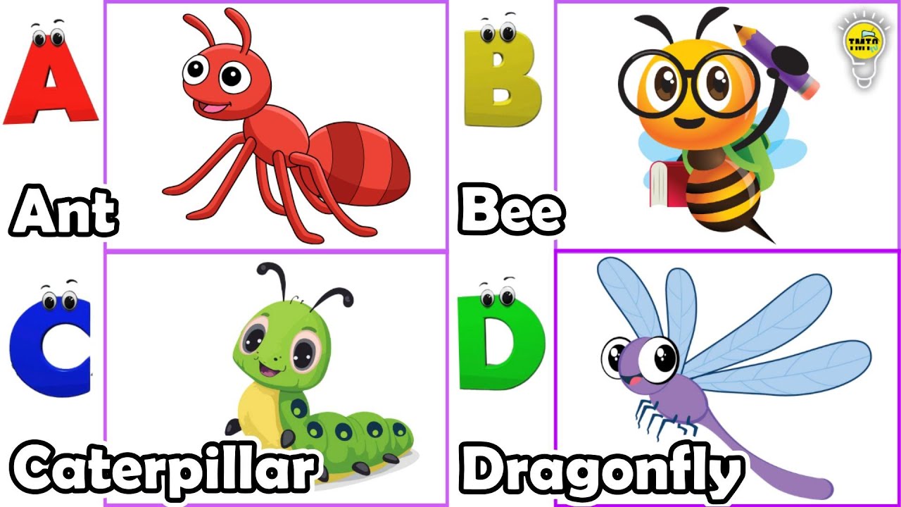 洋楽 bugs in amber rocketship letters 洋楽 bugs in amber rocketship letters sddefault.jpg