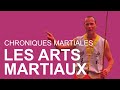 LES ARTS MARTIAUX : Chroniques Martiales #1 - ARTS MARTIAUX REIMS