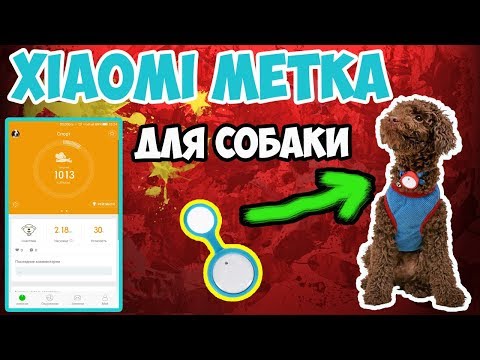 Видео: 5 Pet-Themed Книжки-раскраски для взрослых