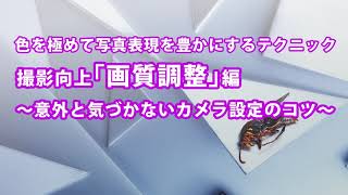 意外と気づかないカメラ設定のコツ～撮影向上「画質調整編」～色を極めて写真表現を豊かにするテクニック