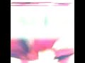دوبت قلبي بغيابك كطرا كطرا
