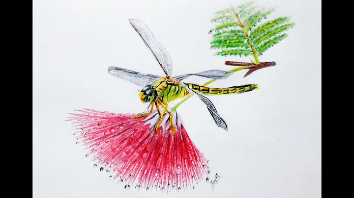 How to Draw a  Dragonfly with Colored Pencils Step by Step | Dragonfly on Flower Drawing