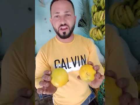 الفاكهة والخضروات بالتراب فى الفيوم