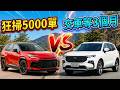 RAV4狂掃訂單！Territory也賣到缺車，為什麼台灣人只特別愛日系油電？