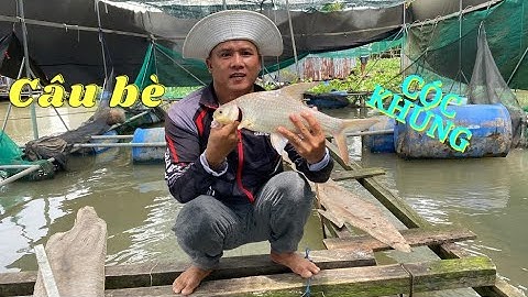 Câu bè mới khu cồn Tân Lộc, đụng bầy cóc thiếu nhi || Trí Nguyễn CT Fishing