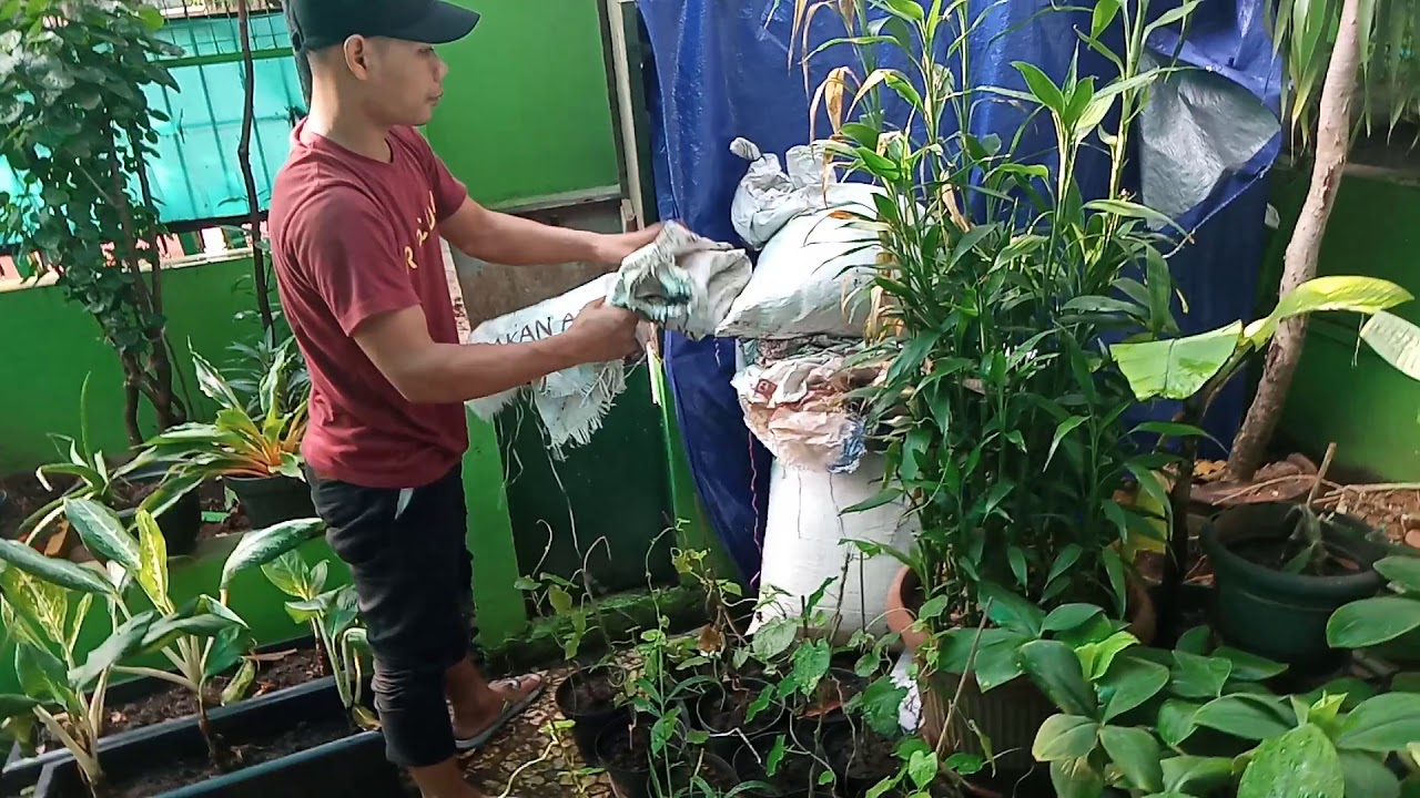 Kreatif Taman bunga di sekitar rumah - YouTube