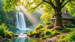 Relaxing Piano & Nature Sounds 🌿 Soft Melodies for Stress Relief, Deep Relaxation & Inner Peace screenshot 5