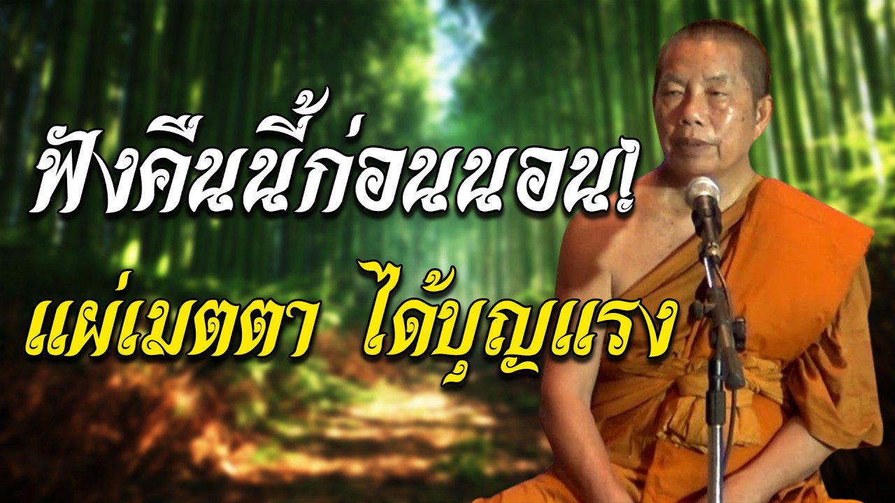 ฟังคืนนี้ก่อนนอน! แผ่เมตตา ได้บุญแรง หนุนนำชีวิต หลับลึก หลับเป็นสุข#ได้บุญแรง #หลับสบาย #แผ่เมตตา