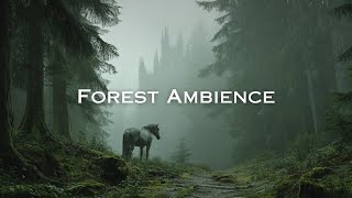 Celtic Music with Foggy Forest Ambience - Relaxing Instrumental for Sleep and Meditation
