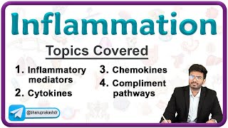 Chronic Inflammation || Wound Healing & Granuloma  Pathology Lecture 4