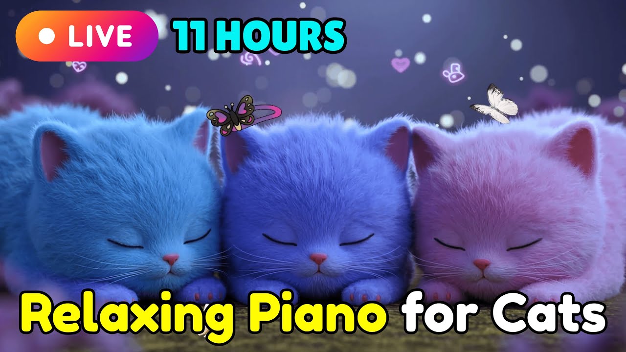 Piano Music for Cats to Relax Instantly and Help Stressed Cats Sleep Comfortably