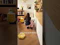 【ルームツアー】狭い部屋の救世主！買って大正解だった多機能ソファーベッドが優秀すぎる件✨