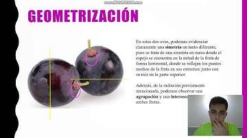 Componente Práctico Virtual - Sustentación